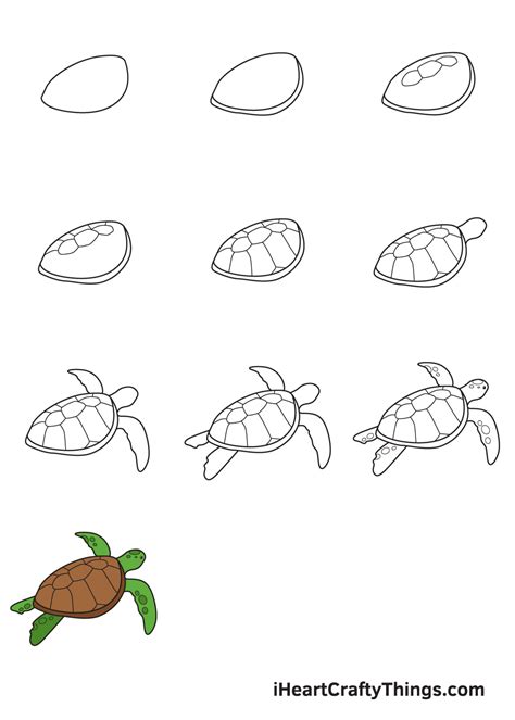 How to Draw a Turtle .